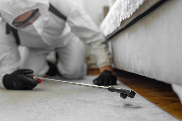 Professional Pest Control technician working in Herkimer County County, NY